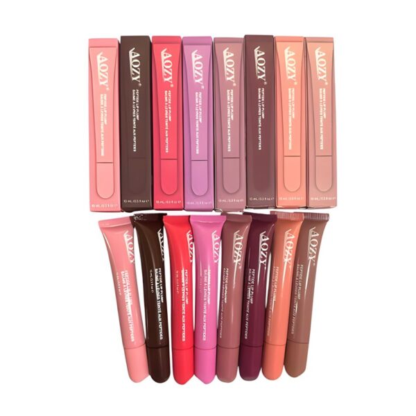 BRILLO GLOSS CON COLOR AOZY